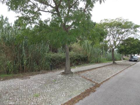 3 Lotes de terreno para construção