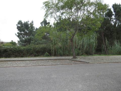 3 Lotes de terreno para construção