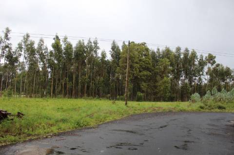Terreno para construção