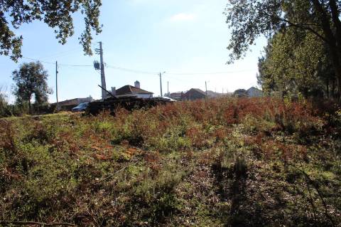 Terreno com área de 5.500 m2