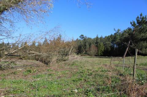 Terreno com área de 5.500 m2