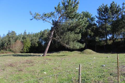 Terreno com área de 5.500 m2
