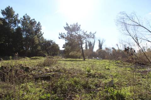 Terreno com área de 5.500 m2