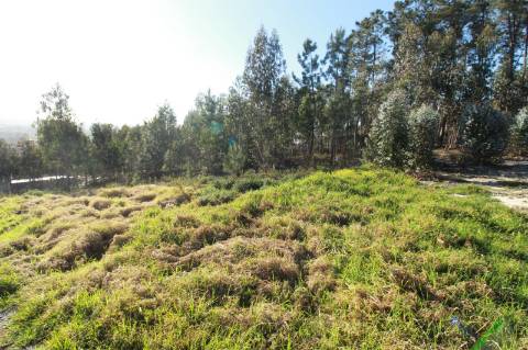 Lote de terreno com projeto aprovado
