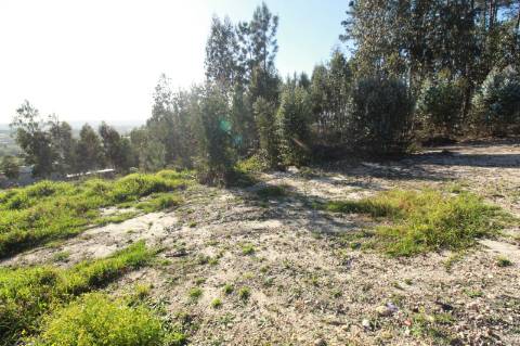 Lote de terreno com projeto aprovado