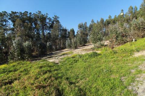 Lote de terreno com projeto aprovado