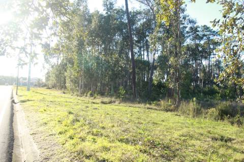 Terreno Rústico c/ 11000 m2