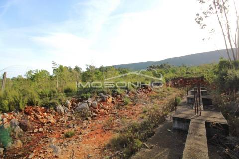 Terreno com projeto aprovado para Lar e Apartamentos