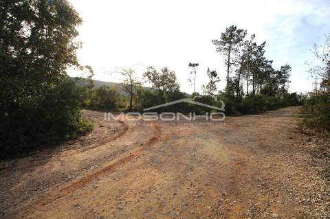 Terreno com projeto aprovado para Lar e Apartamentos