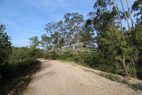 Terreno com projeto aprovado para Lar e Apartamentos