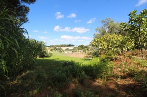 Terreno para construção de habitação