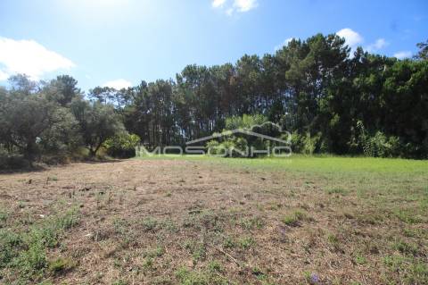 Terreno para construção de habitação