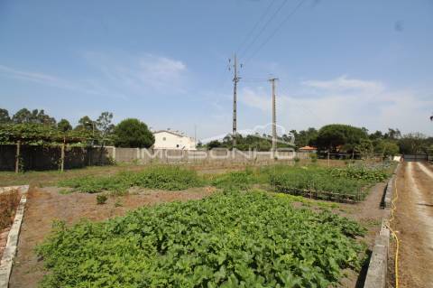 Venda Conjunta 3 Moradias