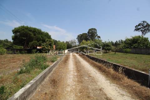 Venda Conjunta 3 Moradias