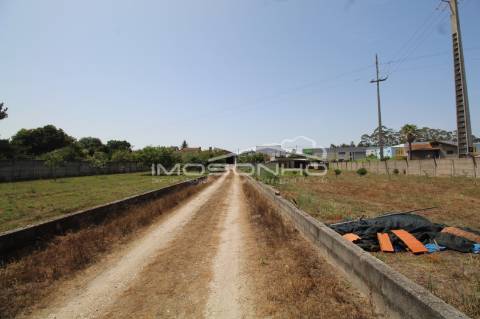 Venda Conjunta 3 Moradias