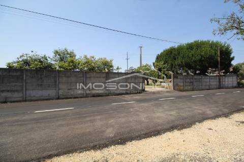 Venda Conjunta 3 Moradias