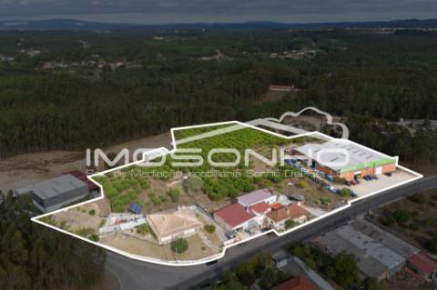 Venda conjunta de 2 moradias, 3 apartamentos, 3 armazéns e terrenos diversos