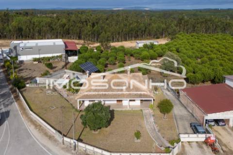 Venda conjunta de 2 moradias, 3 apartamentos, 3 armazéns e terrenos diversos