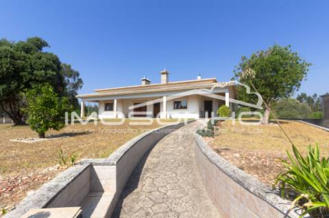 Venda conjunta de 2 moradias, 3 apartamentos, 3 armazéns e terrenos diversos