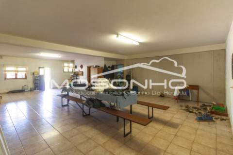 Venda conjunta de 2 moradias, 3 apartamentos, 3 armazéns e terrenos diversos