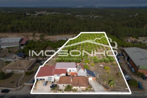 Venda conjunta de 2 moradias, 3 apartamentos, 3 armazéns e terrenos diversos