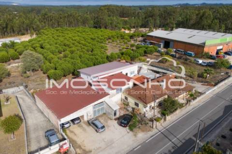 Venda conjunta de 2 moradias, 3 apartamentos, 3 armazéns e terrenos diversos