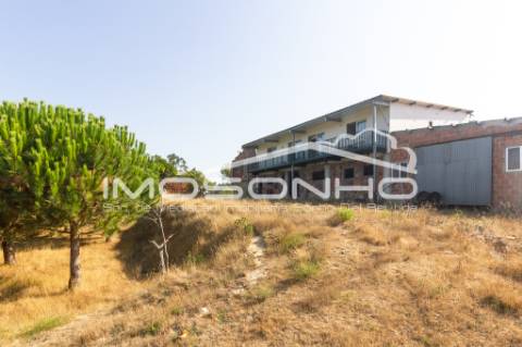 Venda conjunta de 2 moradias, 3 apartamentos, 3 armazéns e terrenos diversos