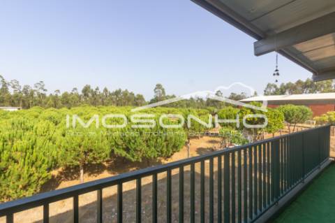 Venda conjunta de 2 moradias, 3 apartamentos, 3 armazéns e terrenos diversos