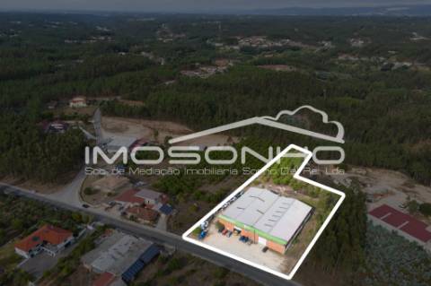 Venda conjunta de 2 moradias, 3 apartamentos, 3 armazéns e terrenos diversos