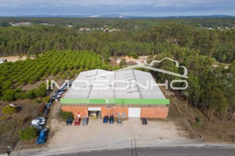 Venda conjunta de 2 moradias, 3 apartamentos, 3 armazéns e terrenos diversos
