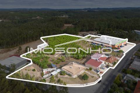 Venda conjunta de 2 moradias, 3 apartamentos, 3 armazéns e terrenos diversos