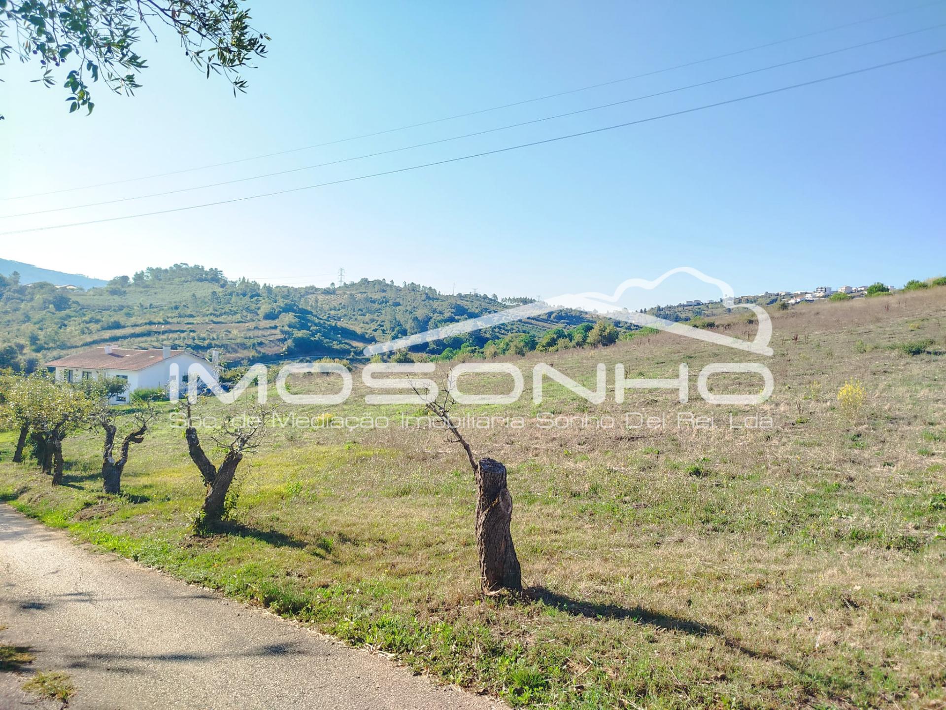 Terreno para construção a poucos minutos de Leiria