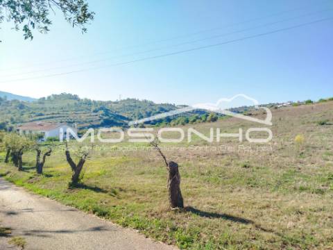 Terreno para construção a poucos minutos de Leiria