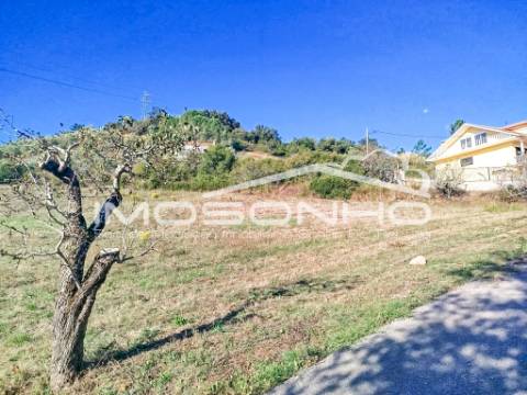 Terreno para construção a poucos minutos de Leiria