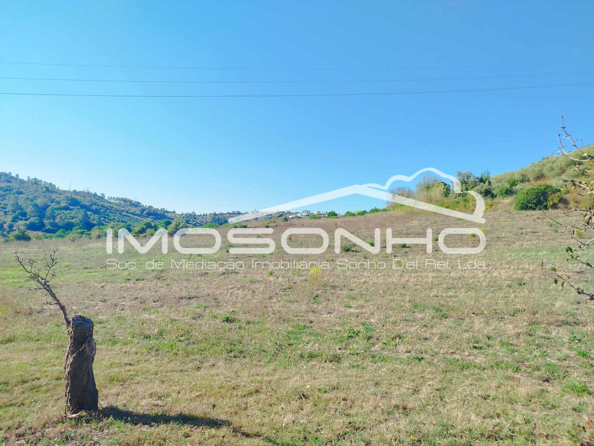 Terreno para construção a poucos minutos de Leiria