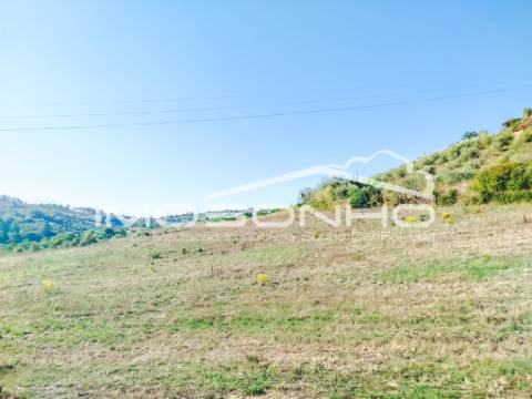 Terreno para construção a poucos minutos de Leiria