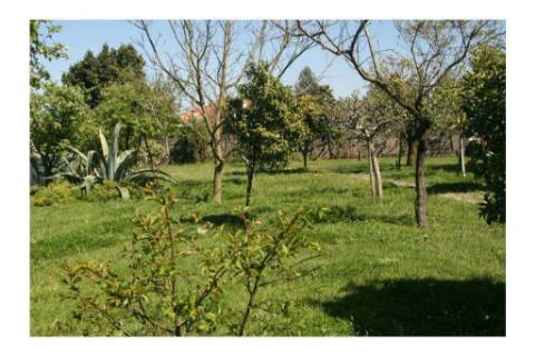 T3 Sta. Maria da Feira com garagem individual e arrumos