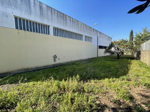 Armazém S. Cosme licença p/ comércio