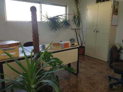 Armazém S. Cosme licença p/ comércio