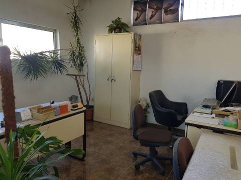 Armazém S. Cosme licença p/ comércio