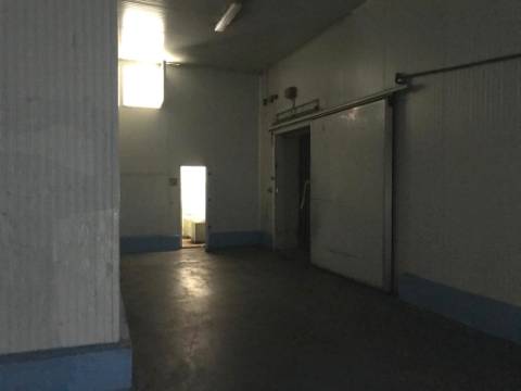 Grande Armazém Maia com 2 logradouros e portão de acesso a TIR