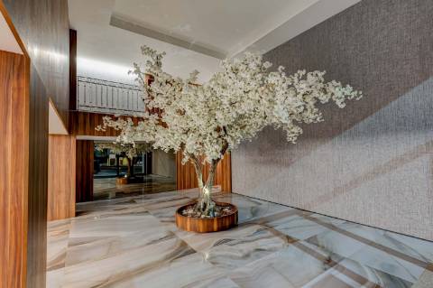 T1 Porto - Portugal - POrto Renovato