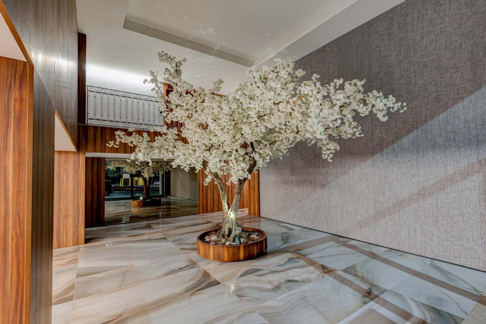 T1 Porto - Portugal - POrto Renovato