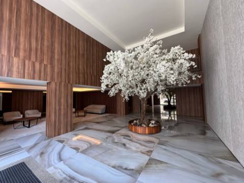 T1 Porto - Portugal - POrto Renovato