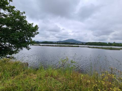 Terreno Rustico em frente ao Rio ( Ótimo para colocação de Autocaravana )