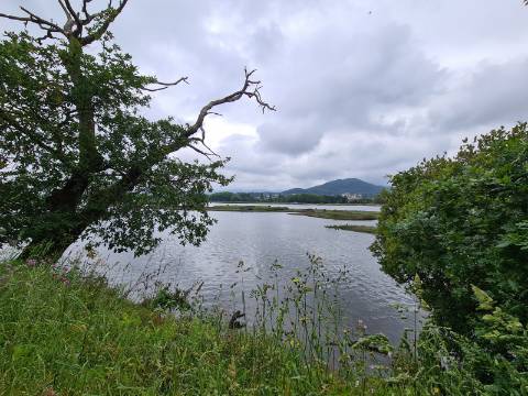 Terreno Rustico em frente ao Rio ( Ótimo para colocação de Autocaravana )