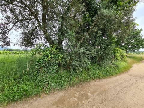 Terreno Rustico em frente ao Rio ( Ótimo para colocação de Autocaravana )