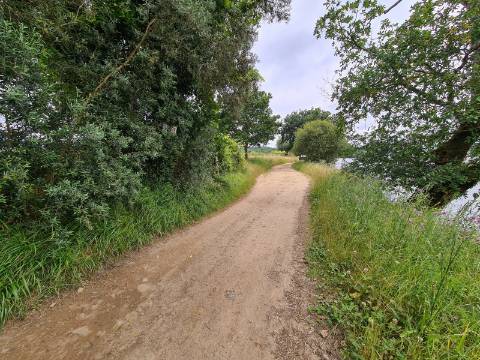 Terreno Rustico em frente ao Rio ( Ótimo para colocação de Autocaravana )