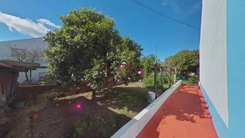 Quinta c/ Casa T2,  em Melides