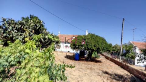 Quinta c/ Casa T2,  em Melides